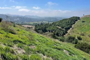 25055 Terreno Dr, Temecula, CA 92590 - Photo 3