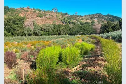16 Sandia Creek Drive, Temecula, CA 92590 - Photo 5