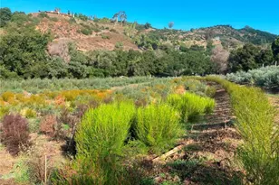 16 Sandia Creek Dr, Temecula, CA 92590 - Photo 5