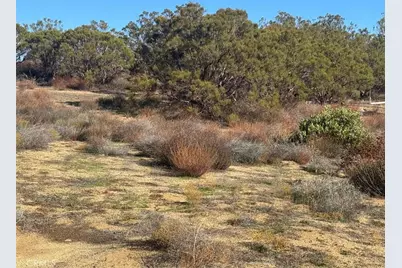 40570 Elm Brush Trail, Anza, CA 92539 - Photo 29