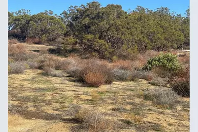 40570 Elm Brush Trail, Anza, CA 92539 - Photo 29