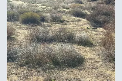 40570 Elm Brush Trail, Anza, CA 92539 - Photo 25