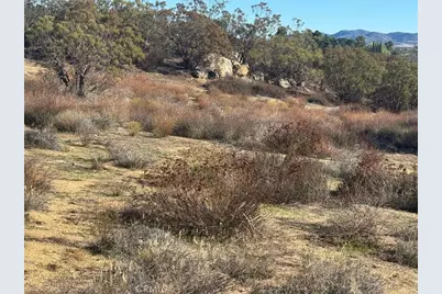 40570 Elm Brush Trail, Anza, CA 92539 - Photo 25