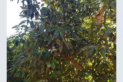 43520 Calle Colina, Temecula, CA 92590 - Photo 7