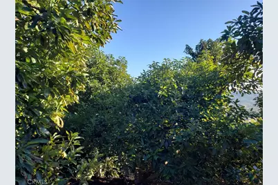 43520 Calle Colina, Temecula, CA 92590 - Photo 9