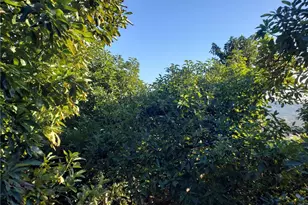 43520 Calle Colina, Temecula, CA 92590 - Photo 9