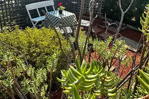 4943 Granada St, Los Angeles, CA 90042 - Photo 5