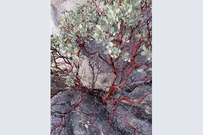 41173 Rocky Valley Way, Aguanga, CA 92536 - Photo 7