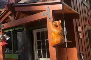 9112 Torrey Pines Rd, Forest Falls, CA 92339 - Photo 3