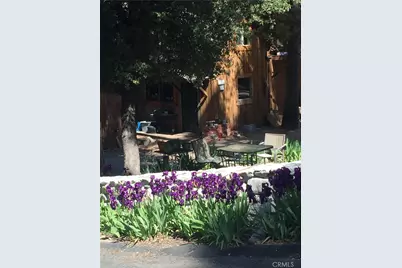 9112 Torrey Pines Road, Forest Falls, CA 92339 - Photo 23