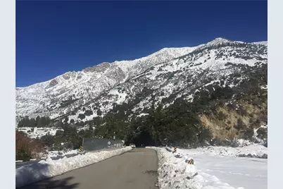 9112 Torrey Pines Road, Forest Falls, CA 92339 - Photo 29