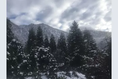 9112 Torrey Pines Road, Forest Falls, CA 92339 - Photo 27