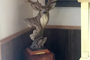 9112 Torrey Pines Rd, Forest Falls, CA 92339 - Photo 19