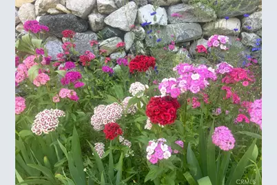 9112 Torrey Pines Road, Forest Falls, CA 92339 - Photo 7