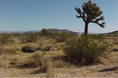 528 Landers Lane, Landers, CA 92285 - Photo 3