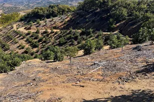 45811 Camaron Rd, Temecula, CA 92590 - Photo 7