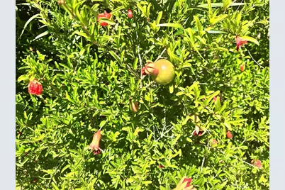 22700 Cascade Drive, Canyon Lake, CA 92587 - Photo 27