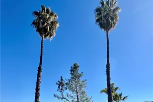 30615 Arenga Palm Dr, Homeland, CA 92548 - Photo 27