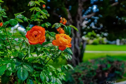 43451 Briercliff Drive, Hemet, CA 92544 - Photo 33