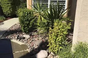 40320 Via Calidad, Murrieta, CA 92562 - Photo 7