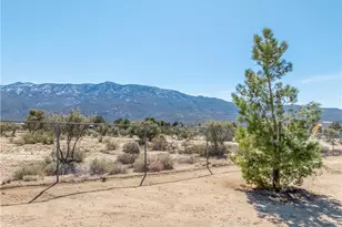 68597 Zurich Ave, Mountain Center, CA 92561 - Photo 45