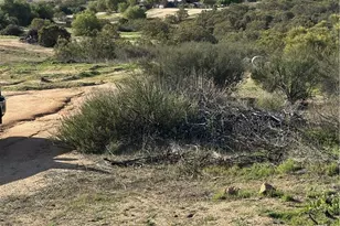 40667 Watts Rd, Hemet, CA 92544 - Photo 1