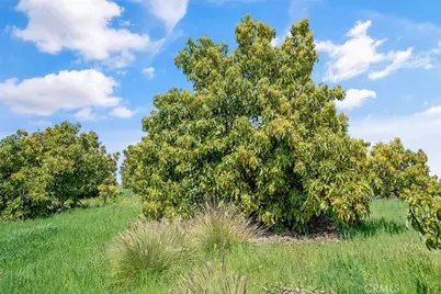 48825 Via Vaquero, Temecula, CA 92590 - Photo 35