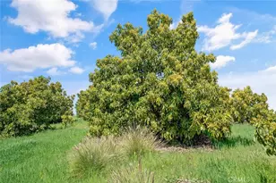 48825 Via Vaquero, Temecula, CA 92590 - Photo 35