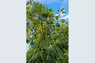 48825 Via Vaquero, Temecula, CA 92590 - Photo 3