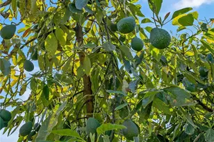 48825 Via Vaquero, Temecula, CA 92590 - Photo 3