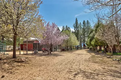 58111 Bonita Vista Road, Mountain Center, CA 92561 - Photo 57