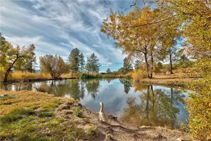 58111 Bonita Vista Rd, Mountain Center, CA 92561 - Photo 75