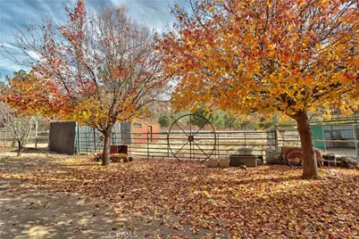 58111 Bonita Vista Road, Mountain Center, CA 92561 - Photo 59