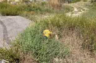 5 Crumley Ct, Temecula, CA 92590 - Photo 19