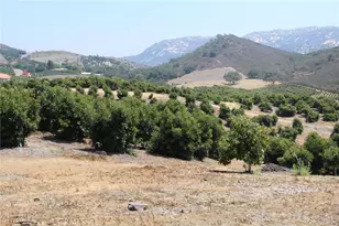 4 Via Vaquero Rd, Temecula, CA 92590 - Photo 3