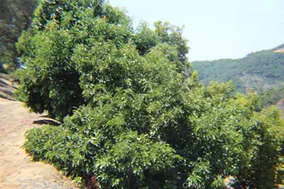 4 Via Vaquero Road, Temecula, CA 92590 - Photo 5