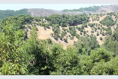 4 Via Vaquero Road, Temecula, CA 92590 - Photo 9