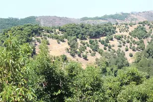 4 Via Vaquero Rd, Temecula, CA 92590 - Photo 9