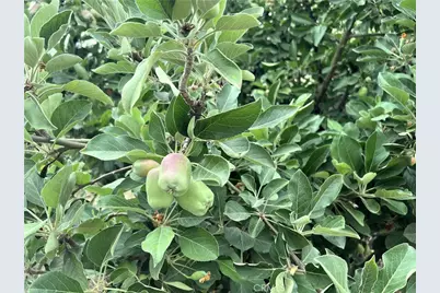 31768 Via Verde, Lake Elsinore, CA 92530 - Photo 23