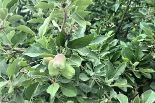 31768 Via Verde, Lake Elsinore, CA 92530 - Photo 23