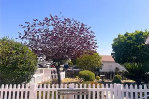 31768 Via Verde, Lake Elsinore, CA 92530 - Photo 3