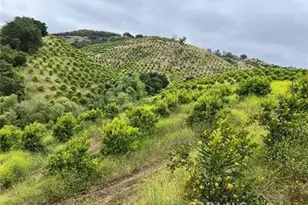 0 Avennida Tierra 2 Lots, Temecula, CA 92590 - Photo 3