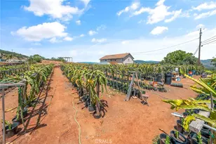 1996 Rainbow Glen Rd, Fallbrook, CA 92028 - Photo 49