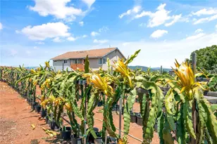 1996 Rainbow Glen Rd, Fallbrook, CA 92028 - Photo 3