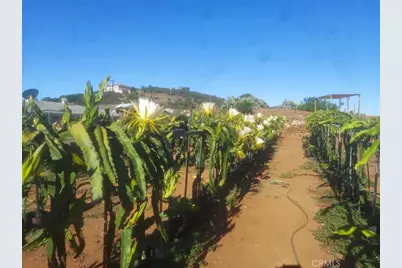 1996 Rainbow Glen Road, Fallbrook, CA 92028 - Photo 17