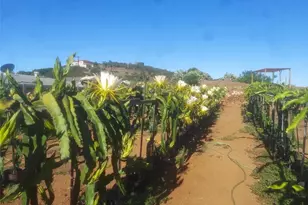 1996 Rainbow Glen Rd, Fallbrook, CA 92028 - Photo 17