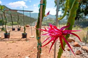 1996 Rainbow Glen Rd, Fallbrook, CA 92028 - Photo 51