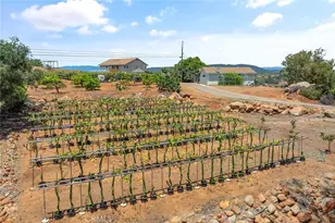 1996 Rainbow Glen Rd, Fallbrook, CA 92028 - Photo 7