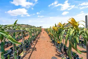 1996 Rainbow Glen Rd, Fallbrook, CA 92028 - Photo 47