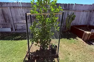 2616 N King St, Bakersfield, CA 93305 - Photo 43